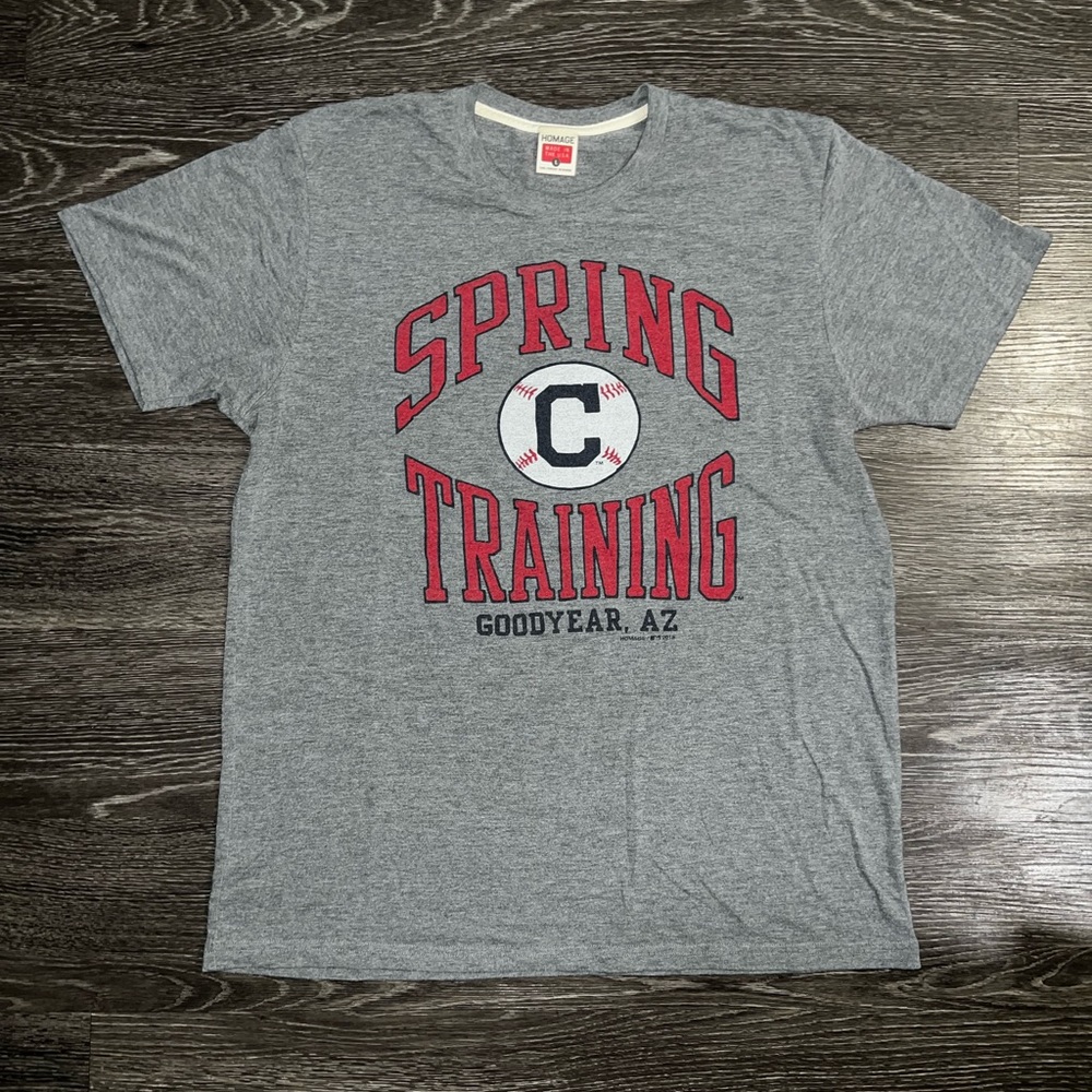 Cleveland Indians Guardians Spring Training Homage Shirt Grey Vintage - Picture 1 of 4